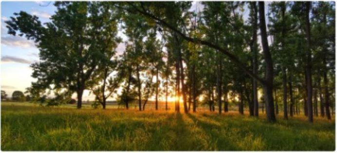 All Seasons Country Lodge Taree Ngoại thất bức ảnh