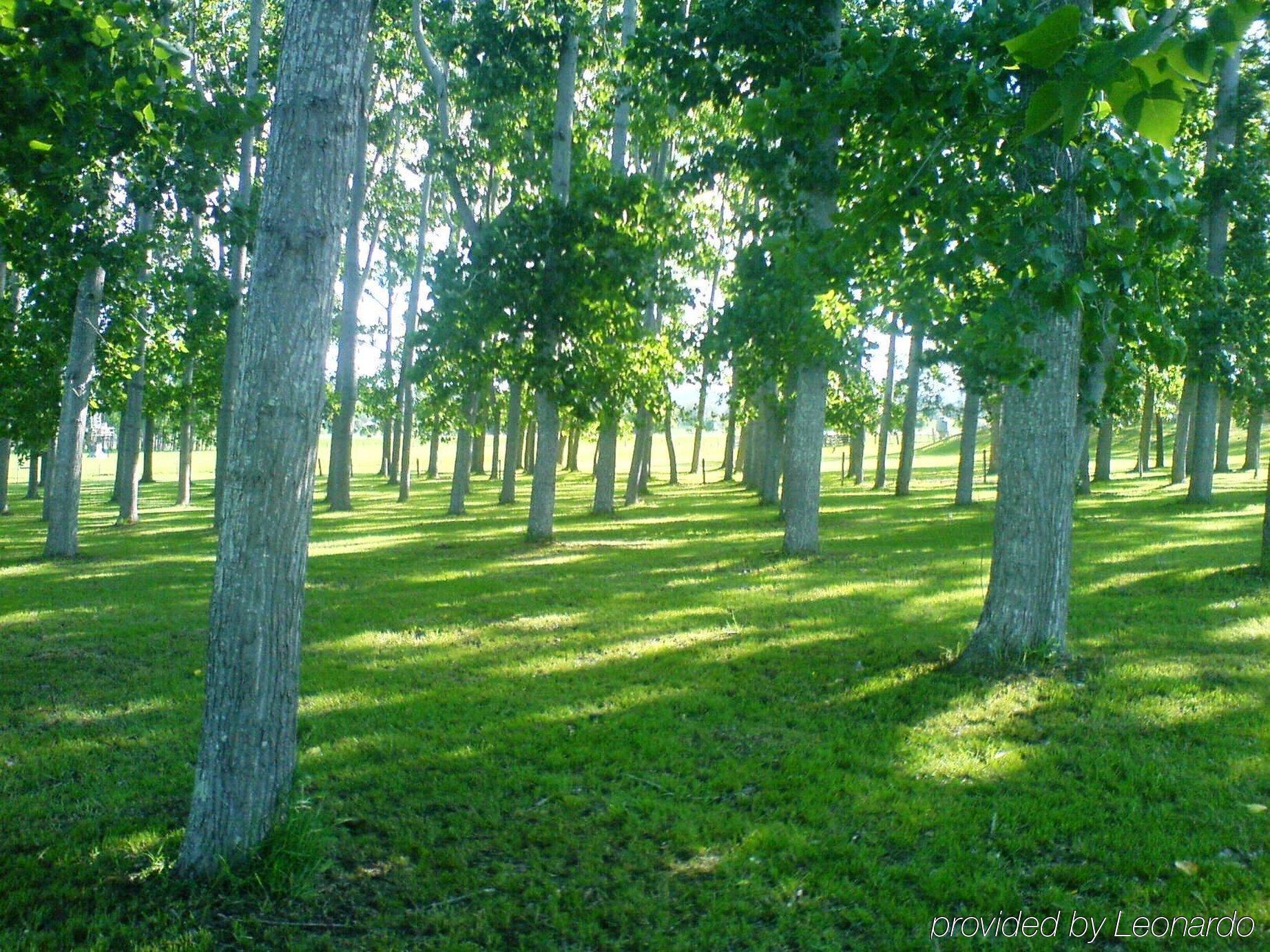 All Seasons Country Lodge Taree Ngoại thất bức ảnh